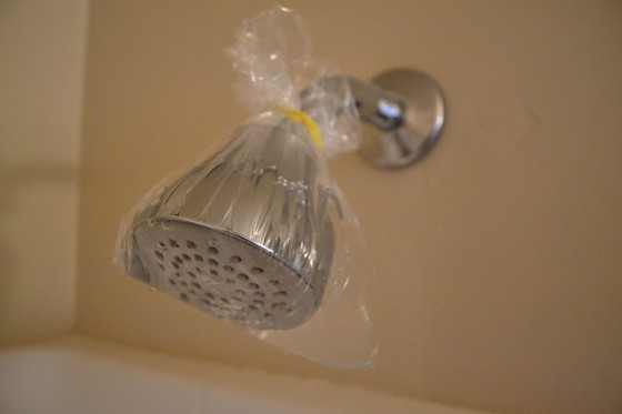 Clean Shower Head