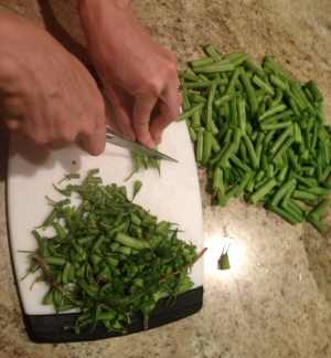 Cutting Green Beans