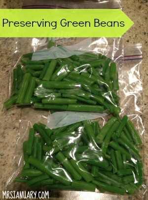 Preserving Green Beans