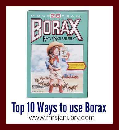 Ways to Use Borax