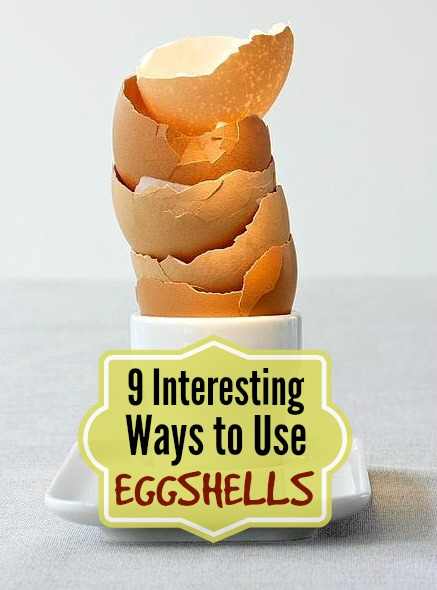 Ways to Use Eggshells
