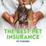 In Canada, there are no shortage of pet insurance companies to choose from, and the offering varies from one provider to the next.