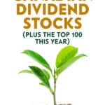 Learn more about dividend investing, a tried and true investment strategy, starting with the following list of Top 100 Canadian Dividend Stocks.