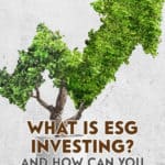 Prioritizing sustainability is good for the corporate image, and can also boost a company's balance sheet. So what is ESG investing, and is it right for you?