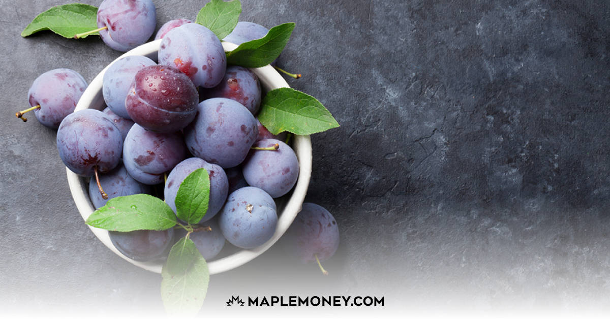 Everything You Need to Know About Indigo Plum and Plum PLUS Rewards