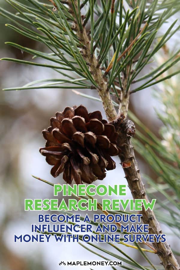 Pinecone Research Review 2025